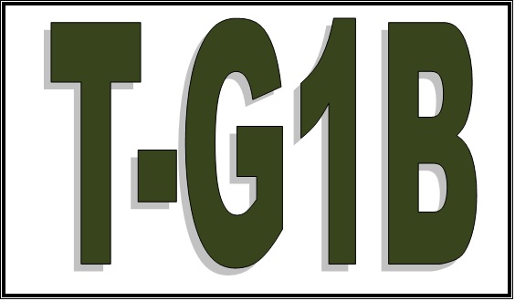 Page0006-Fig01.jpg